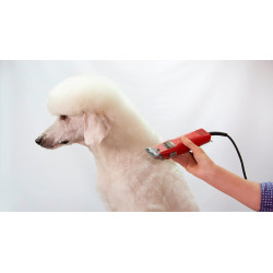 Schermaschine Favorita Speed Aesculap Rot