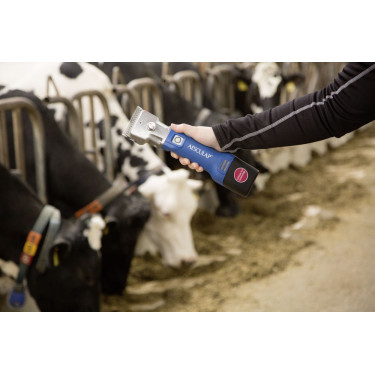 Kabellose Schermaschine Aesculap Econom CL¹