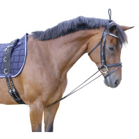 Elastische Hilfszügel Covalliero Schwarz Elastische Hilfszügel Covalliero Schwarz