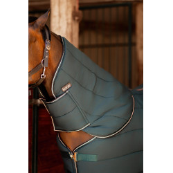 Halsabdeckung für Stalldecke Glasgow Pony Hoze Halsabdeckung für Stalldecke Glasgow Pony Hoze