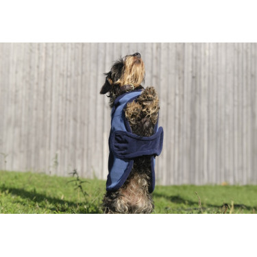 Hundedecke Equithème New Market Hundedecke Equithème New Market