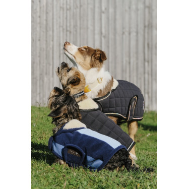 Hundedecke Equithème New Market Hundedecke Equithème New Market