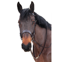 Jagdzaum Canter Braun