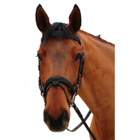 Kandare Canter Mylord Schwarz / schwarz Kandare Canter Mylord Schwarz / schwarz