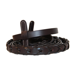 Canter Zügel Bredies Braun