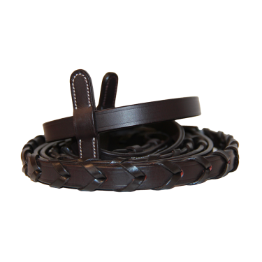 Canter Zügel Bredies Braun