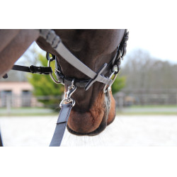 Jagdlonge Canter