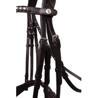 Trense Glamourdale Weymouth Horze Braun