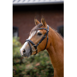 Pony-Trense Rainbow Dash Horze Schwarz Pony-Trense Rainbow Dash Horze Schwarz