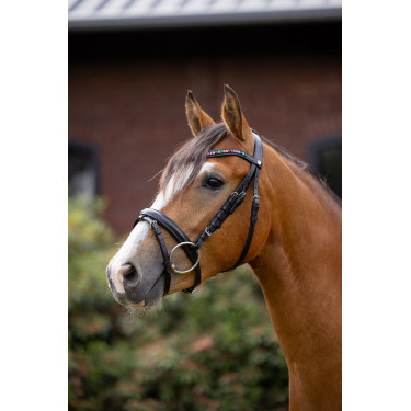 Pony-Trense Rainbow Dash Horze Schwarz Pony-Trense Rainbow Dash Horze Schwarz