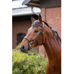 Trense Chio Horze Cognac Braun