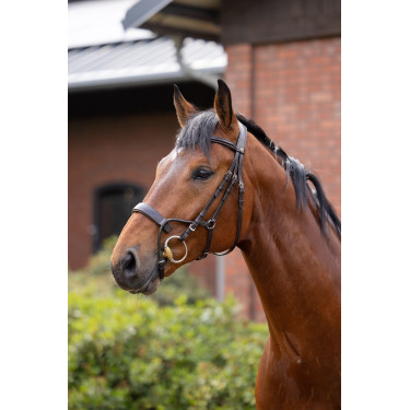 Trense Chio Horze Cognac Braun