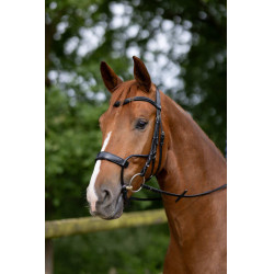 Trense Chio Horze Schwarz