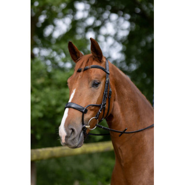 Trense Chio Horze Schwarz