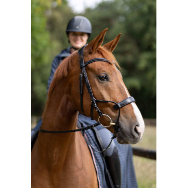 Trense Chio Horze Schwarz