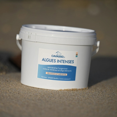 Premium-Algen Intense Cavasso