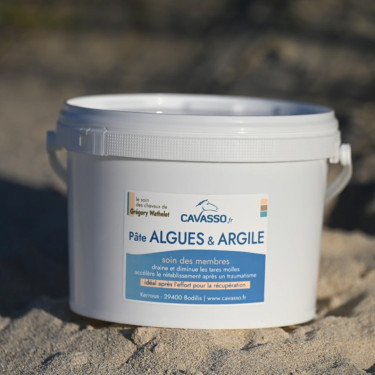 Algen-Ton-Paste