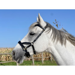 Seitenzieher Leder T de T Schwarz