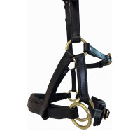 Seitenzieher Leder T de T Dunkles Havanna Braun