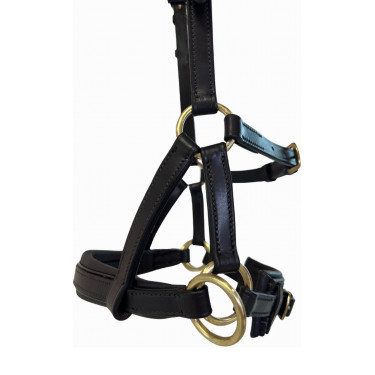 Seitenzieher Leder T de T Dunkles Havanna Braun