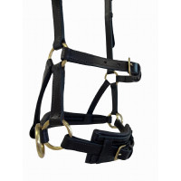 Seitenzieher Leder T de T Dunkles Havanna Braun