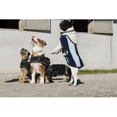 Hundedecke Equithème New Market Hundedecke Equithème New Market
