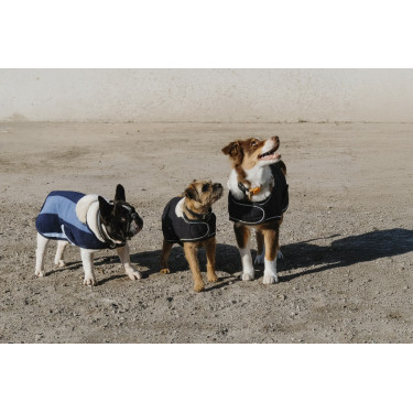 Hundedecke Equithème New Market Hundedecke Equithème New Market