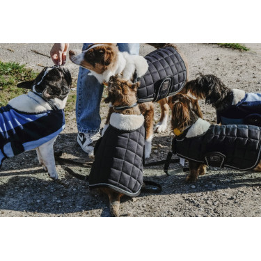 Hundedecke Equithème New Market Hundedecke Equithème New Market
