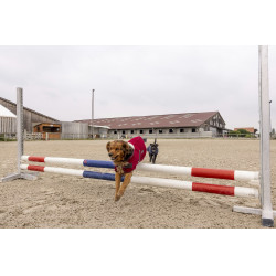 Polar-Decke Diego & Louna Teddy Polar-Decke Diego & Louna Teddy