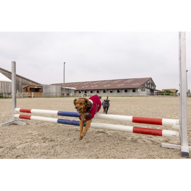Polar-Decke Diego & Louna Teddy Polar-Decke Diego & Louna Teddy