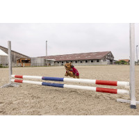 Polar-Decke Diego & Louna Teddy Schwarz