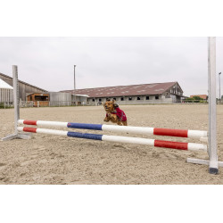 Polar-Decke Diego & Louna Teddy Polar-Decke Diego & Louna Teddy