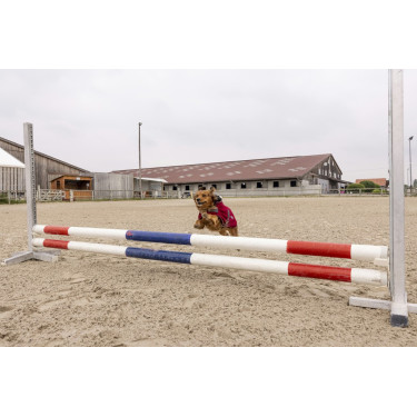 Polar-Decke Diego & Louna Teddy Polar-Decke Diego & Louna Teddy