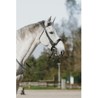 new Schwarz new Schwarz