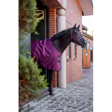 Wasserdichte Decke Horze Newbridge 100g Wasserdichte Decke Horze Newbridge 100g