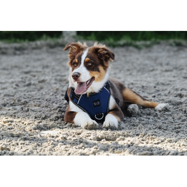 Hundegeschirr Riding World Simba Hundegeschirr Riding World Simba