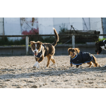 Hundegeschirr Riding World Simba Hundegeschirr Riding World Simba