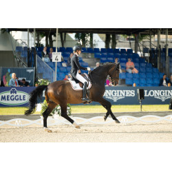 Damen-Vollbesatzreithose Pikeur Laure Weiß Weiß Damen-Vollbesatzreithose Pikeur Laure Weiß Weiß