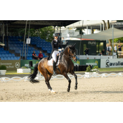 Damen-Vollbesatzreithose Pikeur Laure Weiß Weiß Damen-Vollbesatzreithose Pikeur Laure Weiß Weiß