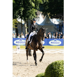 Damen-Vollbesatzreithose Pikeur Laure Weiß Weiß Damen-Vollbesatzreithose Pikeur Laure Weiß Weiß