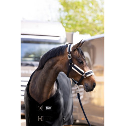 Leichte Decke Eskadron