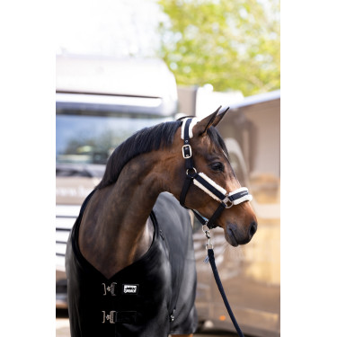 Leichte Decke Eskadron