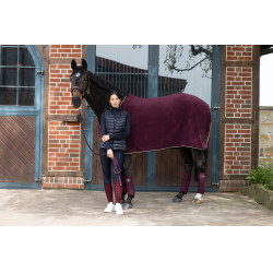 Polo-Bandagen Eskadron Brombeere Bordeaux