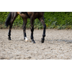 Vorderbeingamaschen Eskadron Schwarz