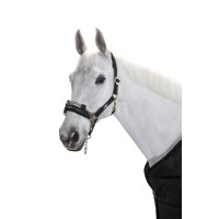 Kontrollhalfter Sliding...