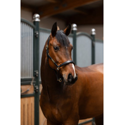 Lederhalfter Eskadron Elegance Lederhalfter Eskadron Elegance
