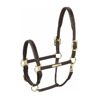 Lederhalfter Eskadron Elegance Dunkelbraun