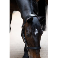 Lederhalfter Eskadron Stallion Schwarz