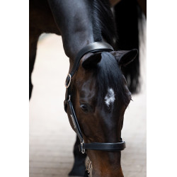 Lederhalfter Eskadron Stallion Schwarz