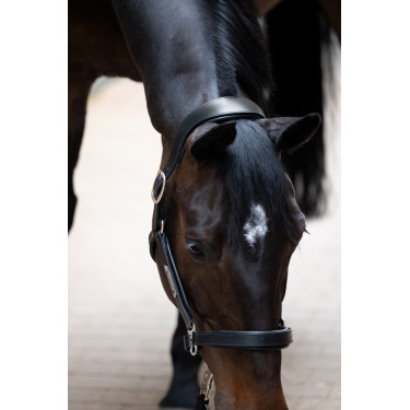 Lederhalfter Eskadron Stallion Lederhalfter Eskadron Stallion